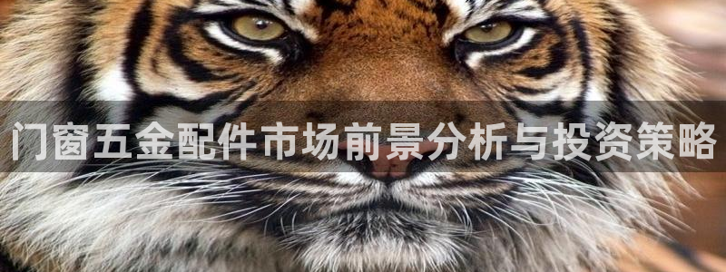 天宏娱乐老男孩董叔