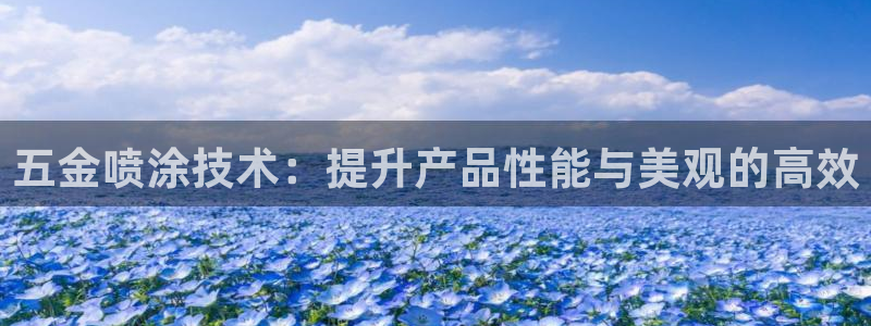 天宏娱乐丨金手指17