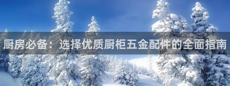 天鲸正宏娱乐是什么