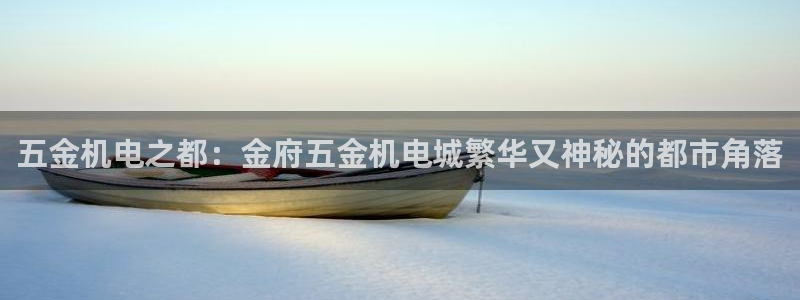 天宏娱乐董事长简历