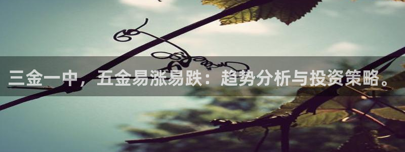 天宏娱乐的王叔