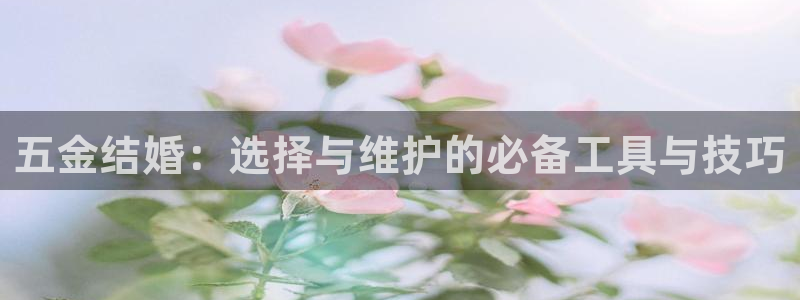 天宏娱乐家