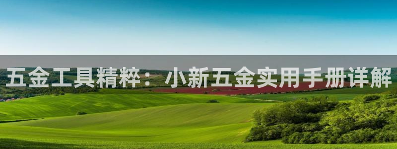 天宏娱乐胡叔