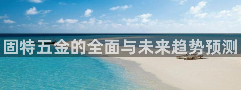 天宏娱乐股东