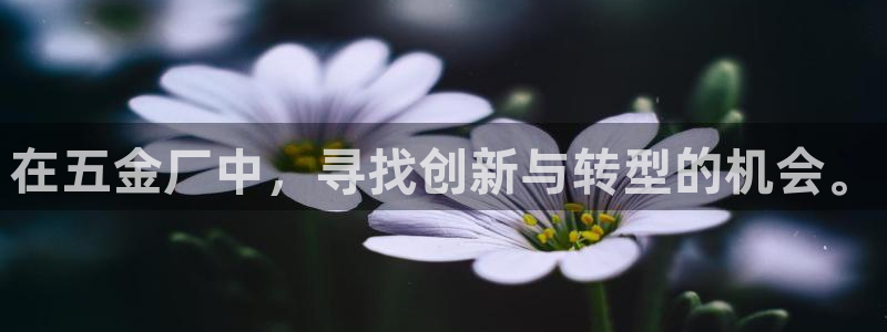 天宏娱乐3