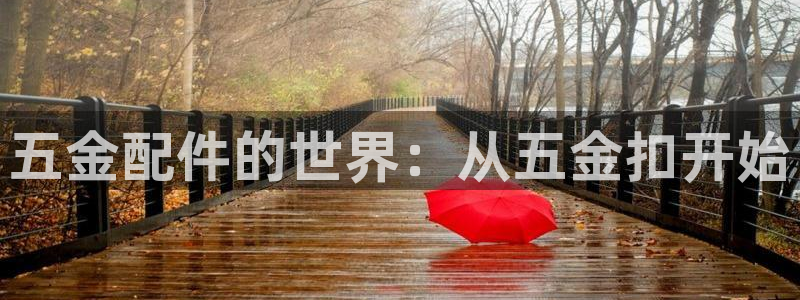 天宏娱乐开业