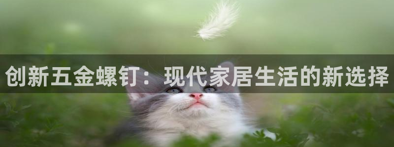 天宏娱乐探索无限空间