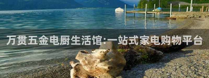 天亿娱乐宏发团队成员