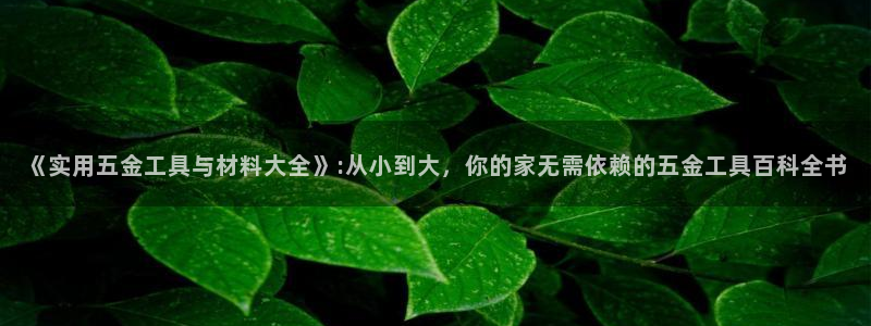 天宏娱乐选择千捷网络