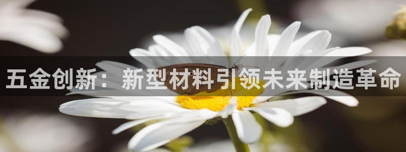 天宏娱乐河源店