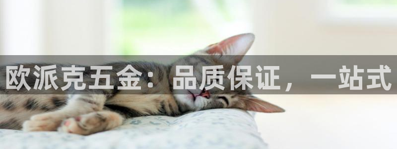 天宏2娱乐主管