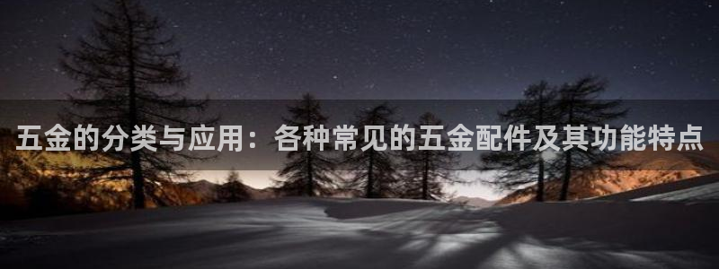 天鲸正宏娱乐是什么