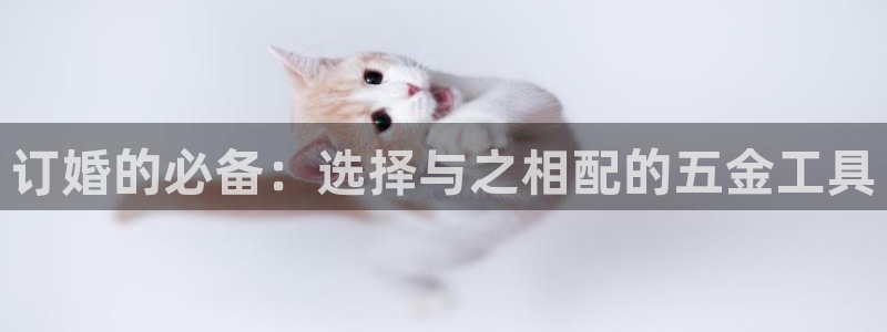 天宏娱乐宝叔是谁