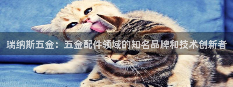天宏娱乐关叔