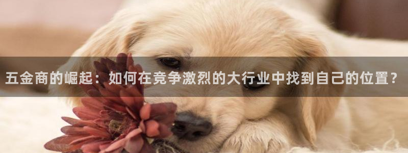 天宏娱乐学