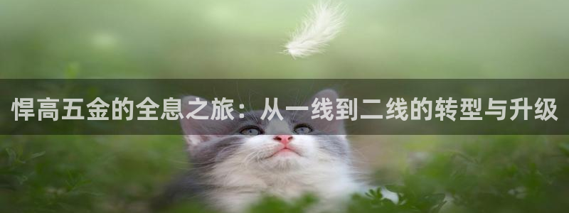 天宏娱乐宋善良