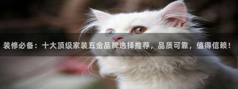 天宏娱乐官网