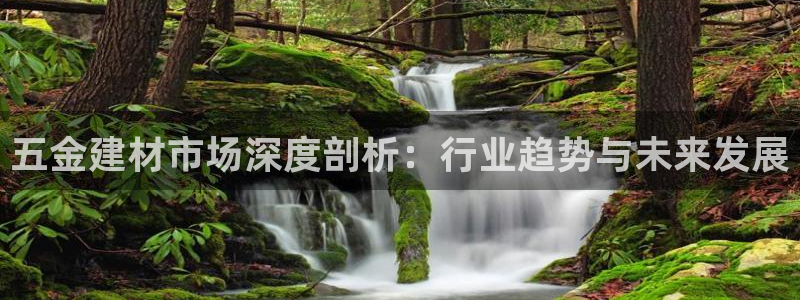 天宏娱乐团队