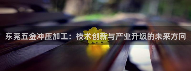 天宏娱乐星空大叔