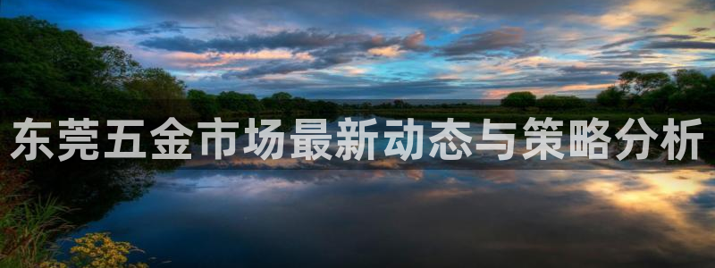 天宏娱乐创始人简介