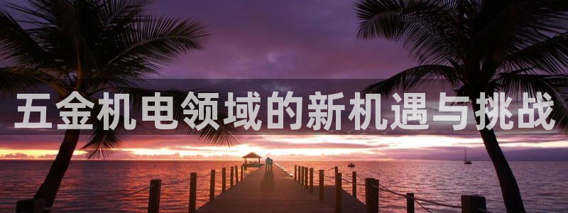 天亿娱乐宏发团队