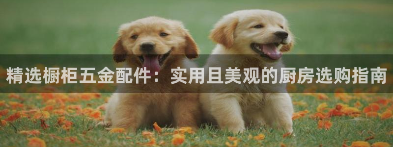 天宏娱乐是什么