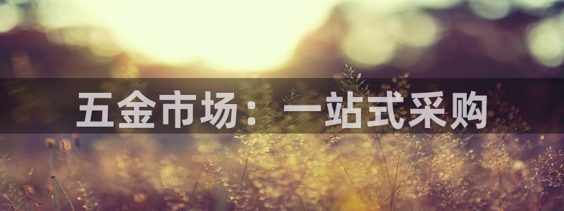 天宏娱乐大叔团成员
