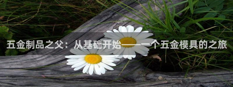 天宏2娱乐