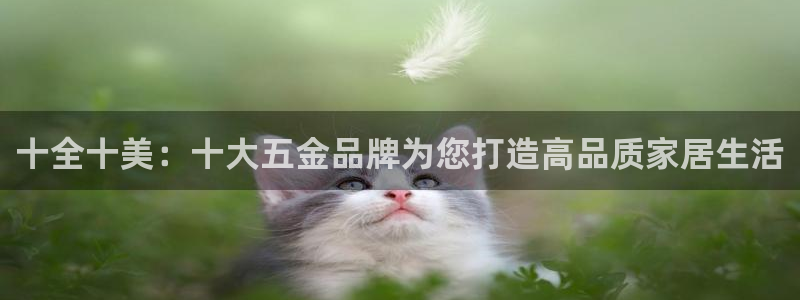 天宏娱乐大叔团唱歌