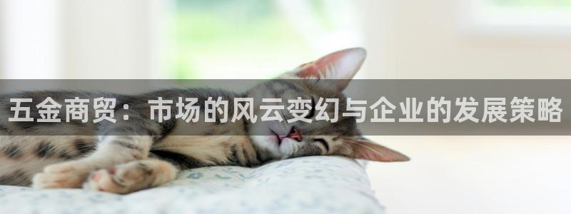 石河子天宏娱乐