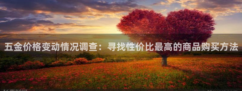 天宏娱乐招商