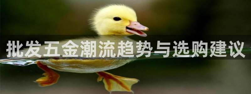 天宏娱乐彬彬叔