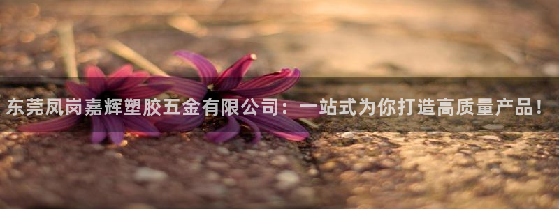 天宏娱乐是干嘛的公司