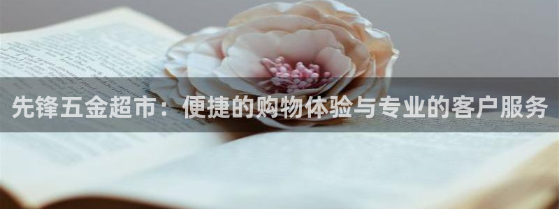 天宏娱乐天跃传媒