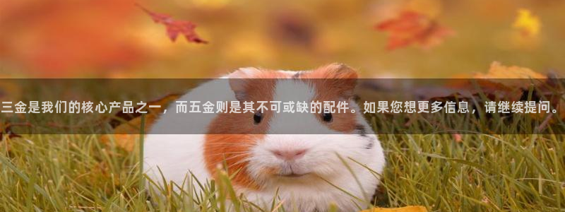 天宏娱乐晨叔
