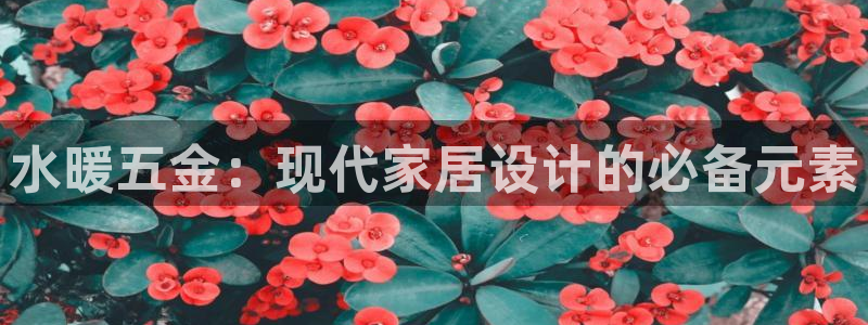 天宏娱乐刘叔