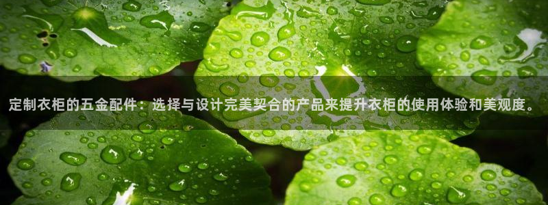 天宏娱乐大叔团龙叔