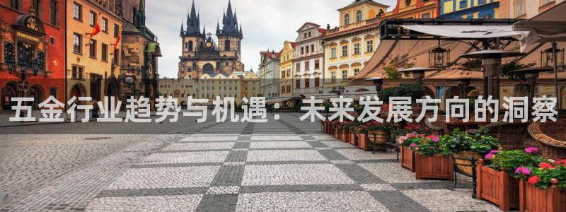 天宏娱乐天跃传媒