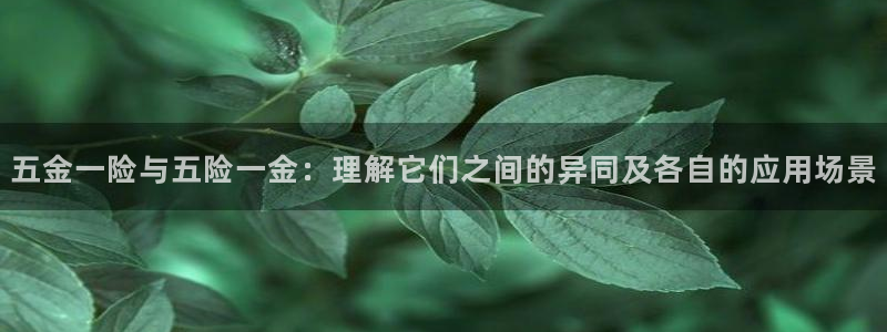 天鲸正宏娱乐是什么