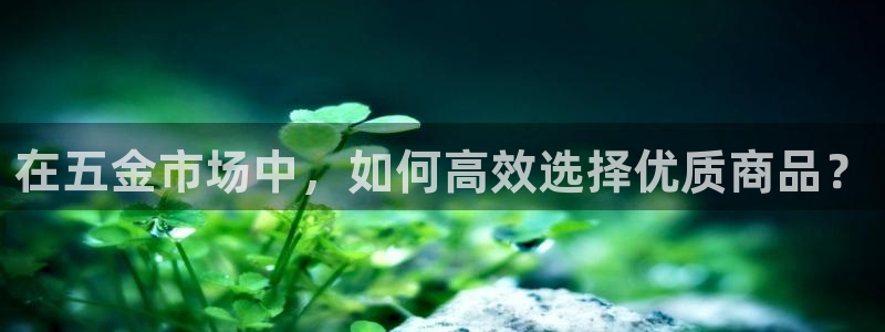 天宏娱乐套钱