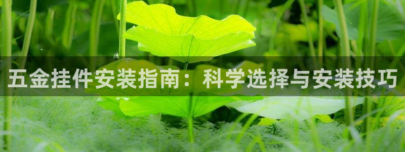 天宏娱乐直播