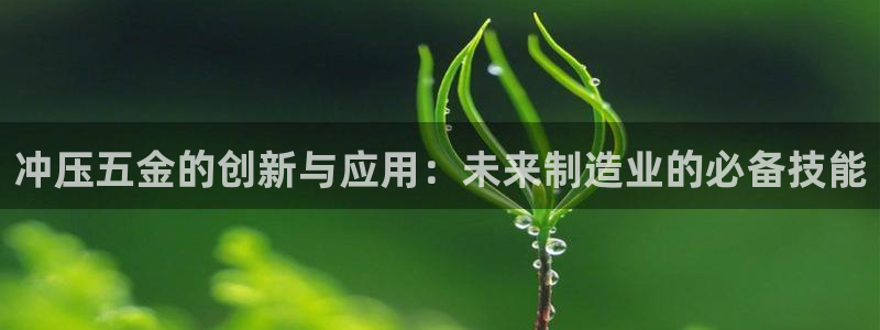 天宏娱乐a 判官