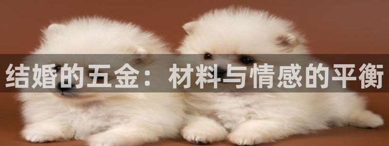 天宏娱乐涛叔