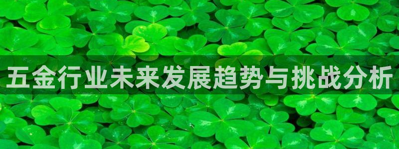 天宏娱乐王总