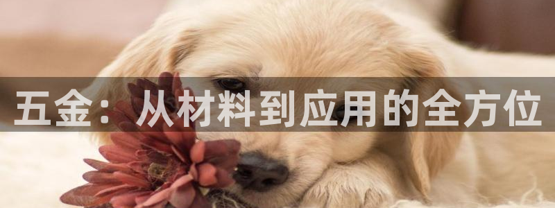 天宏娱乐乐天跃娱乐