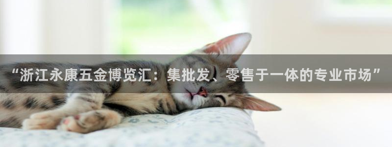 天宏娱乐学