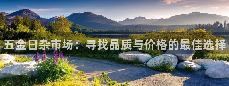 天宏娱乐老板是谁