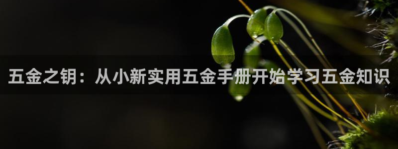 天宏娱乐客服