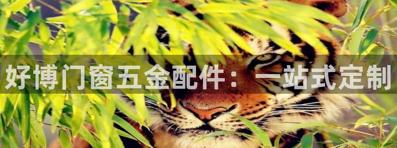 宏天娱乐俱乐部