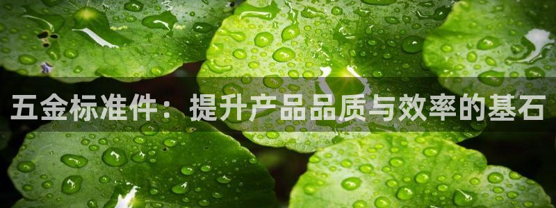 天宏娱乐老韩